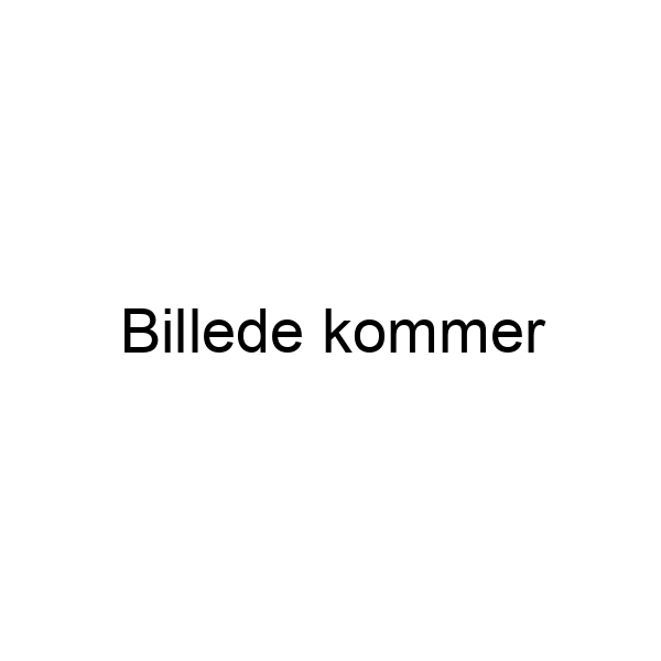 Ingen hndtag
